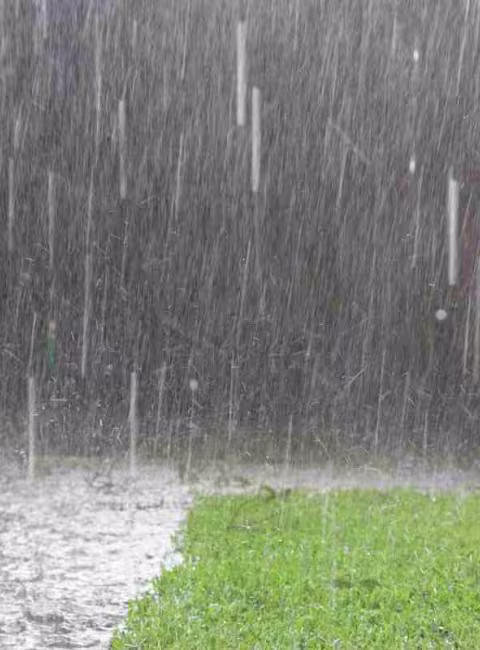 Heavy rain in backyard