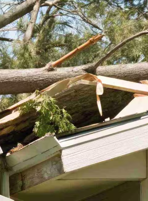 fallen tree on house from a storm
