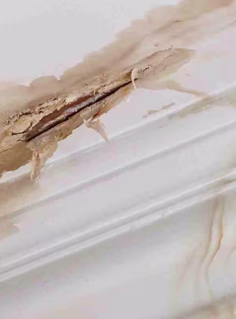 Ceiling water damage