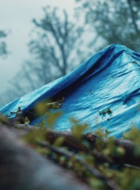 What if a tree falls on your property after a storm