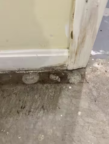 water damaged wood trim