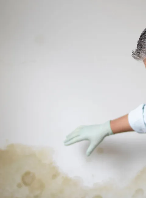 Man with mask assessing mold damage
