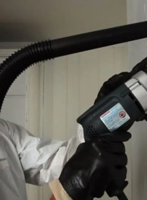 Mold Remediation by ServiceMaster by Gilmore