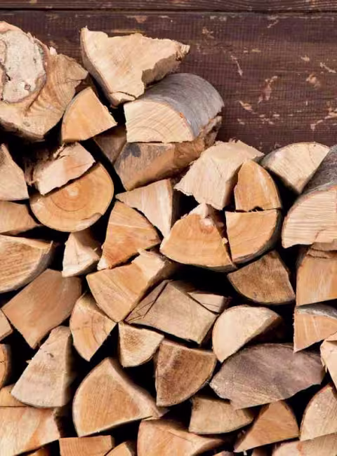 stacked fire wood