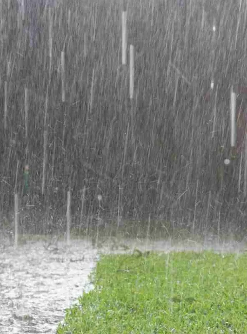 Heavy rain in backyard