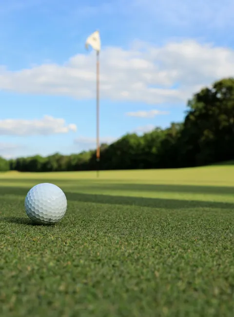 Golf ball on the ground