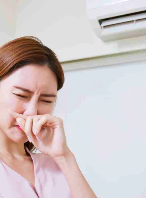Musty smell in spring