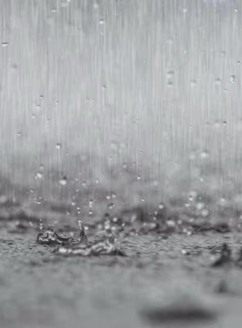 downpour of rain