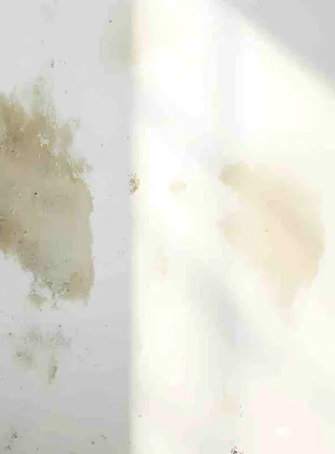 Water damaged wall