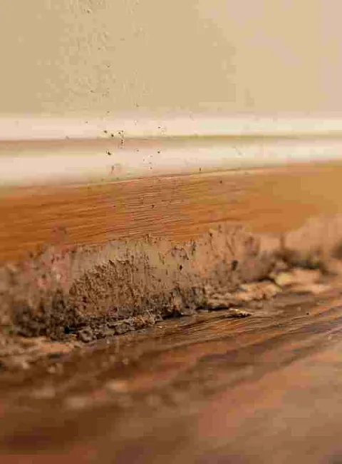 ruined baseboard due to water damage in Garden City
