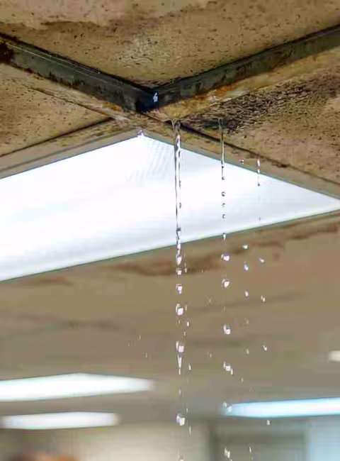 leaky ceiling tiles in a commercial building