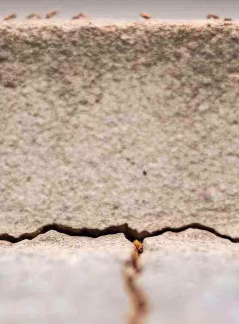 crack in foundation in a commercial building in Dallas