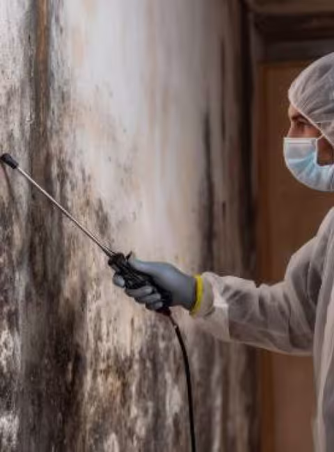 Commercial mold risks in Tulsa warehouses