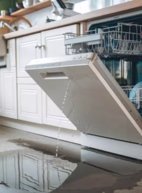 Dangers of ignoring an appliance leak in OKC