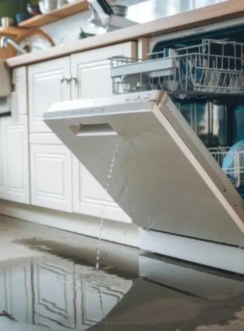 Dangers of ignoring an appliance leak in OKC
