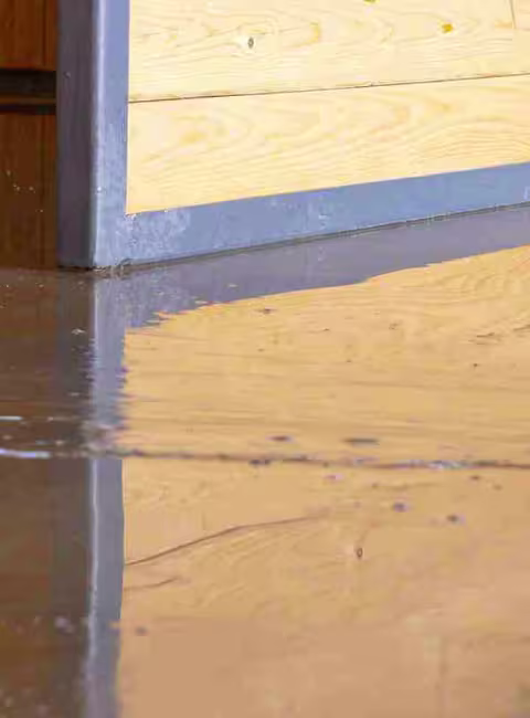person cleaning up a flooded basement