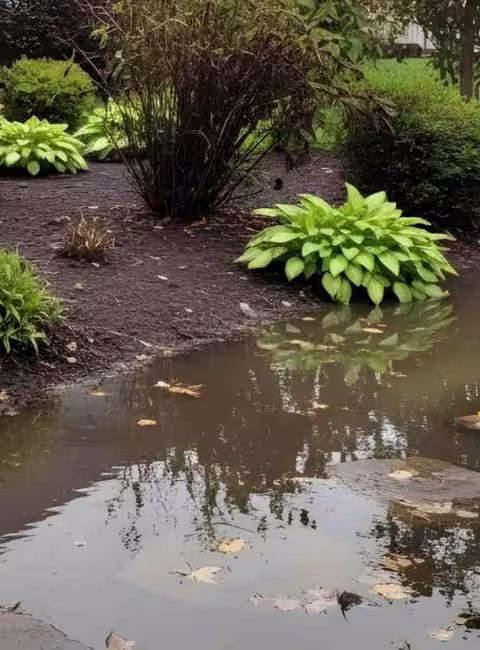 flooded lawn