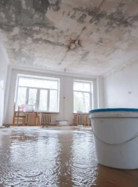 Tampa flood damage maintenance