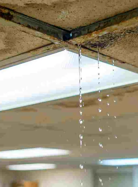 ceiling tiles leaking in a commercial building