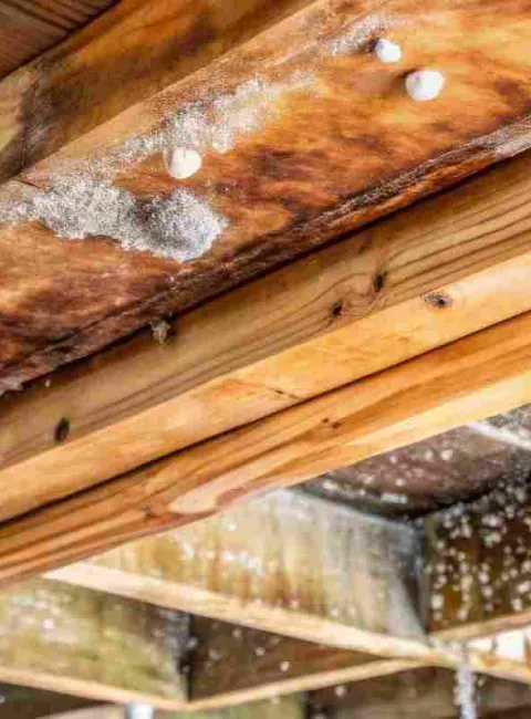 water leaking in a crawlspace