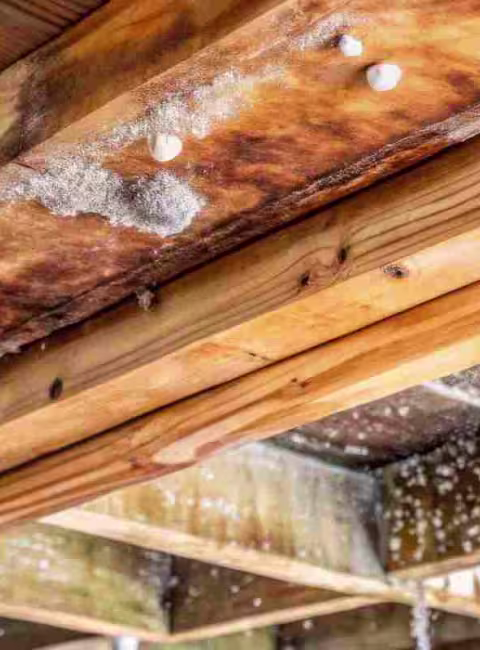 crawl space with water coming from the ceiling