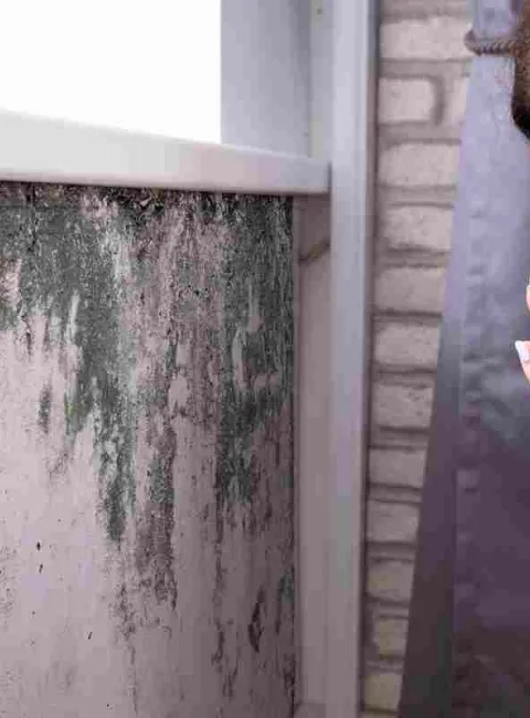 Black mold on a wall under a window