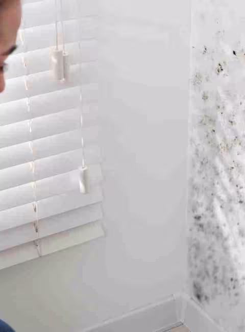 woman looking at mold on her wall