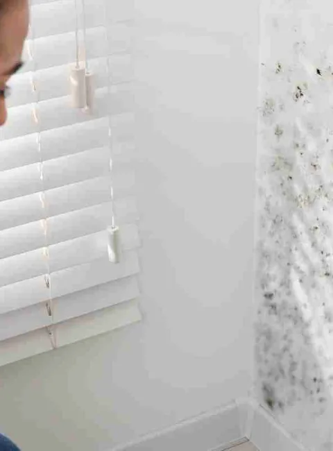 woman looking at mold on her wall