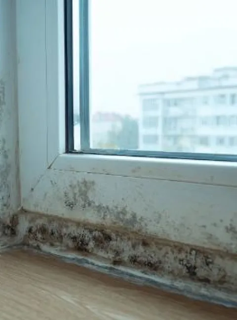 Mold in Ada rental properties in East Central University