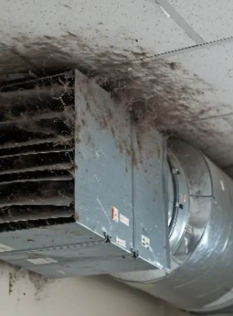 Winter basement mold in Springfield homes