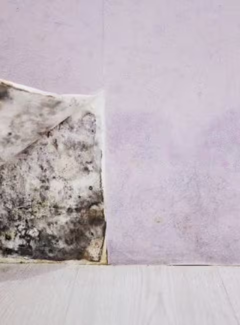 Hidden mold behind drywall after a spring storm in OKC