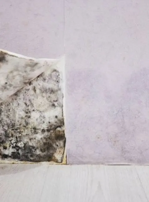 Hidden mold behind drywall after a spring storm in OKC