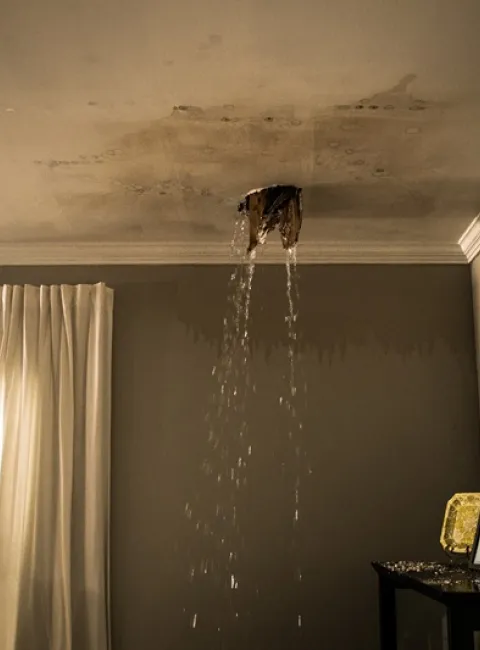 roof leak in a chicagoland home