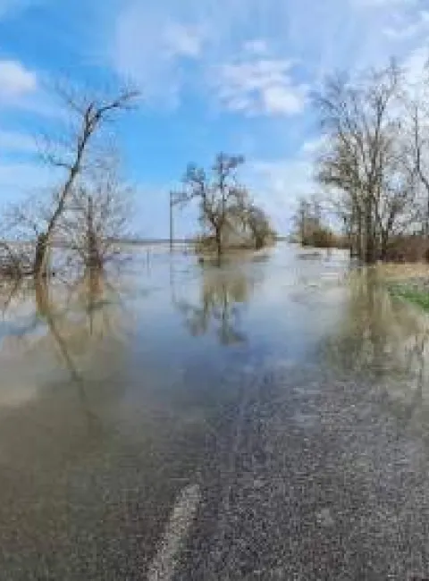 South corvallis winter flooding