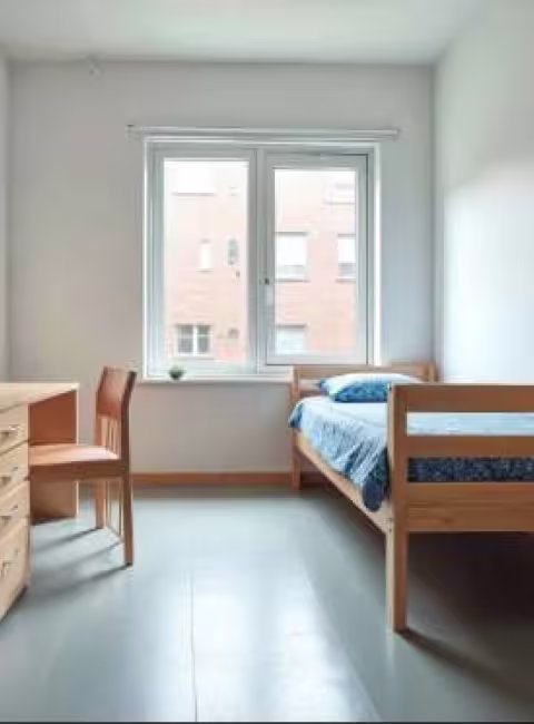 Mold in university rental properties in Eugene