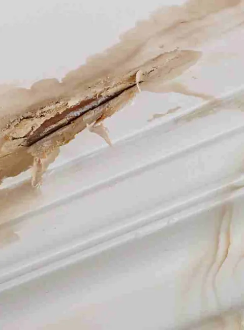 Ceiling water damage