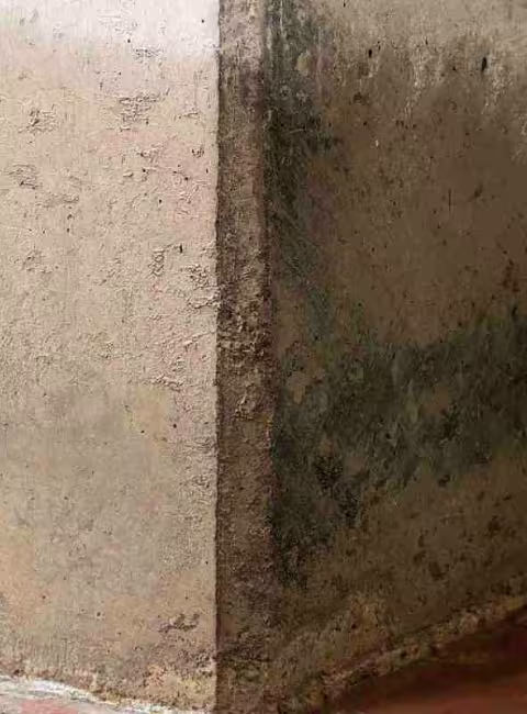 basement water damage