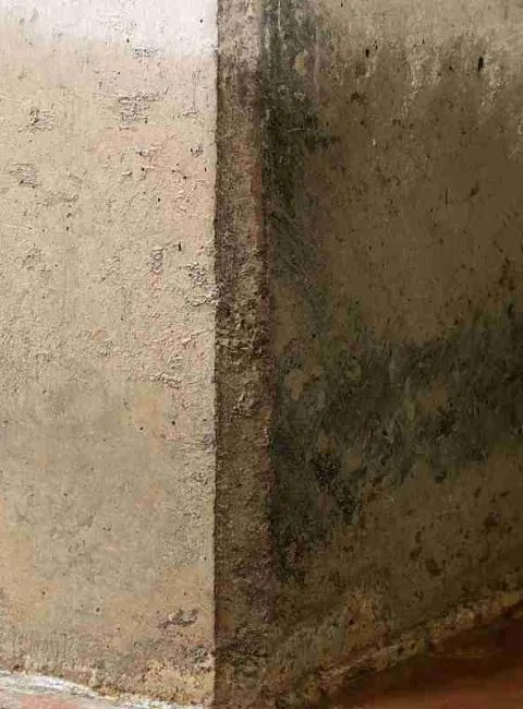 basement water damage
