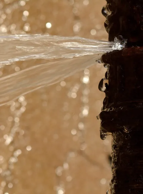 a burst pipe in a chicagoland home