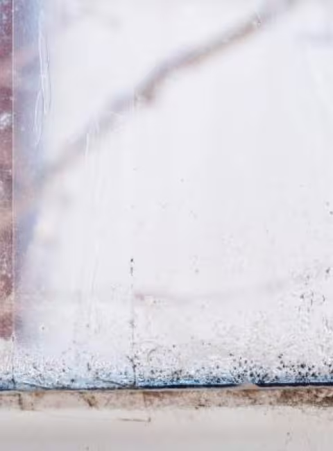 Hail damage leading to mold growth in Oklahoma City