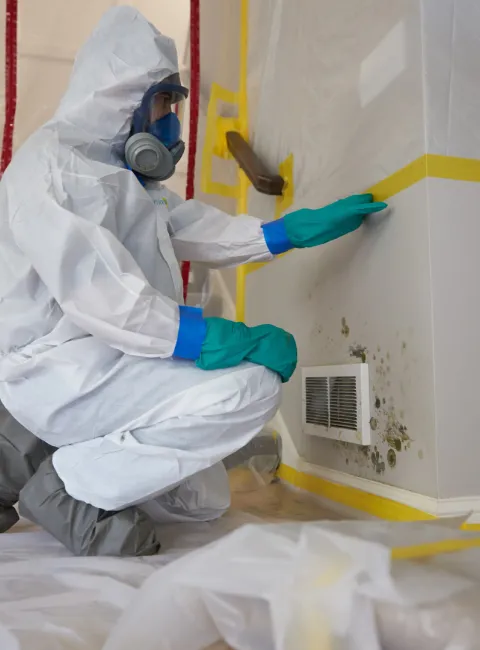 ServiceMaster Tech Mold Remedation