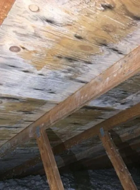 mold on attic roof sheathing seen from attic