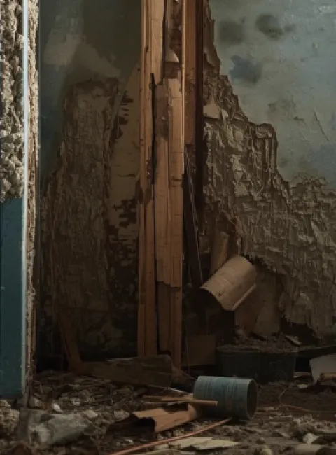 mold growth in walls