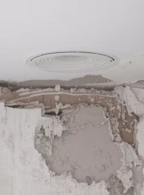 mold damage
