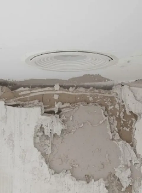 mold damage