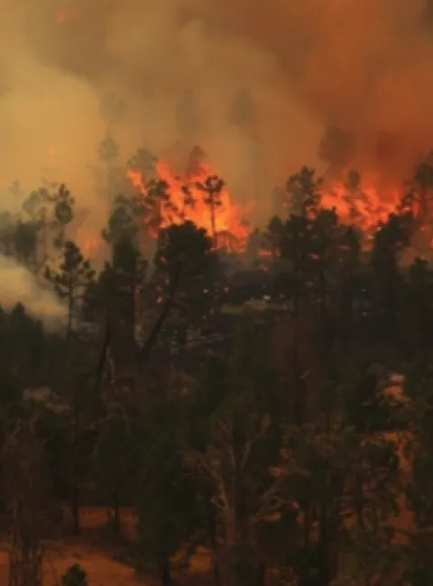 Wildfire Smoke and Fire Damage