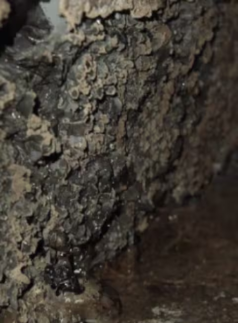Mold After Water Damage in Azusa, CA