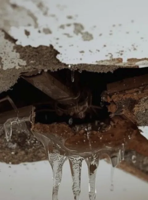 roof leak repair