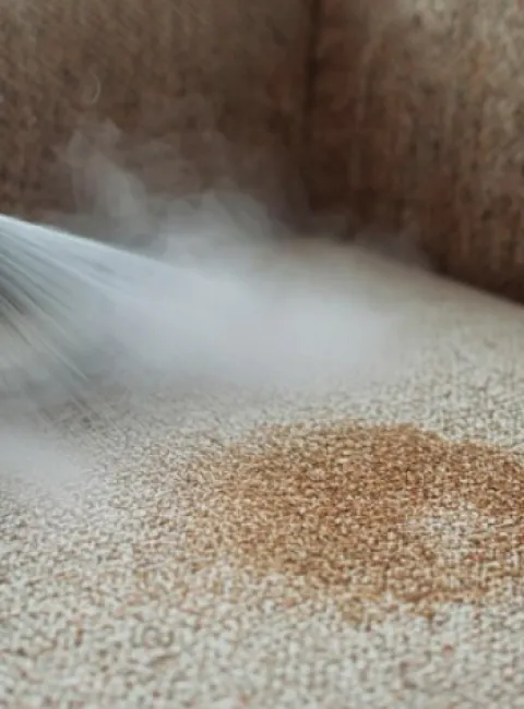 Upholstery Cleaning