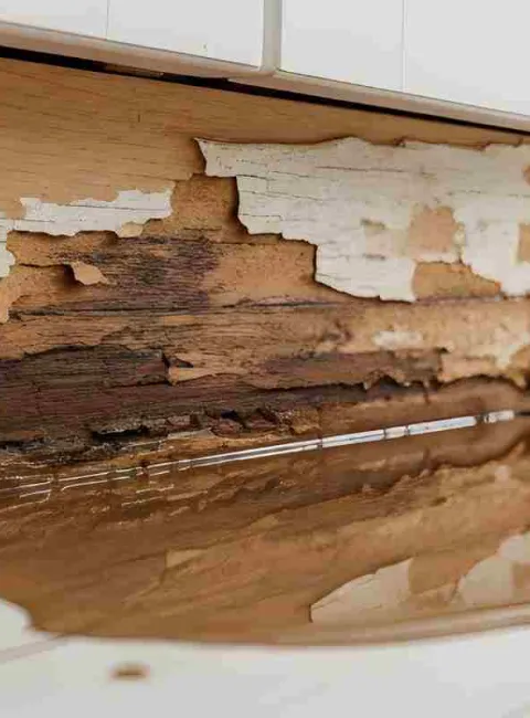 cabinet with water damage from dishwasher leak